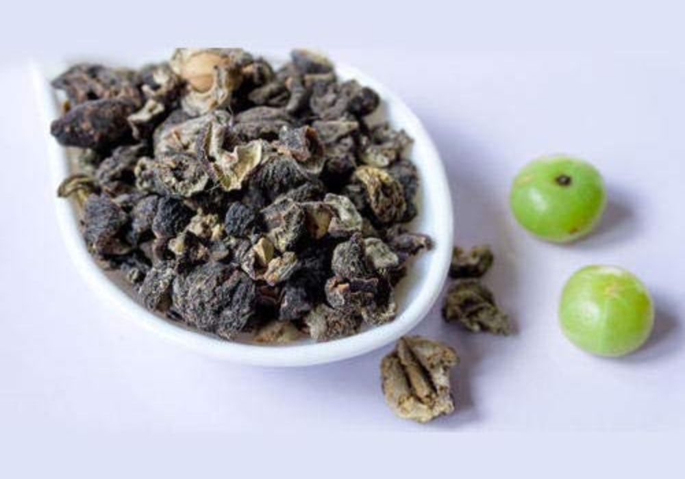 Telomere biology and Ayurvedic Rasayana herbs in ageing and degenerative disease modulation